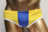 Mens swimwear briefs